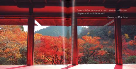 Sette volte cadi, otto rialzati. Meditazioni quotidiane per trovare la pace interiore con l'aiuto dei maestri d'Oriente. Ediz. a colori - Marina Panatero,Genevienne Pecunia,Tea Pecunia - 5