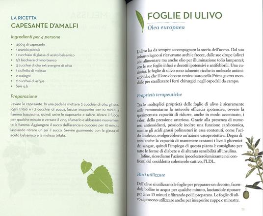 Guarire con le erbe. Tutto quello che l'industria del farmaco non vuole farvi sapere - Ciro Vestita,Federica Alaura,Irene Gelli - 4