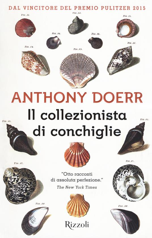 Il collezionista di conchiglie - Anthony Doerr - copertina