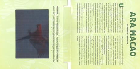 Giungla. Un libro illustrato in Photicular®. Ediz. a colori - Kathy Wollard,Dan Kainen - 4