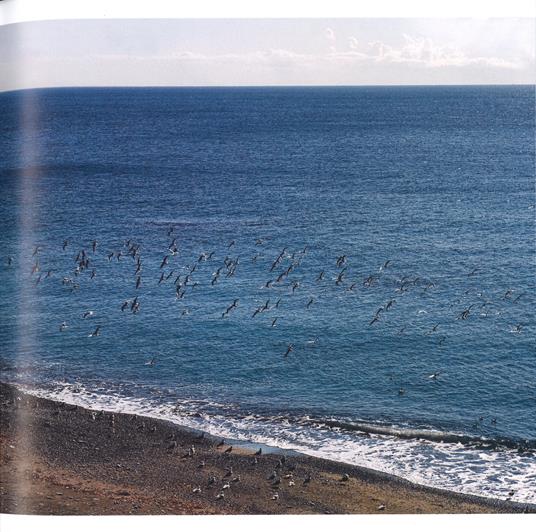 Genova è mia moglie. La città di Fabrizio De André. Ediz. a colori - Patrizia Traverso,Stefano Tettamanti - 3