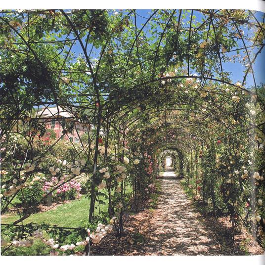 Genova è mia moglie. La città di Fabrizio De André. Ediz. a colori - Patrizia Traverso,Stefano Tettamanti - 6