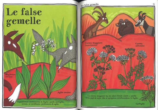 Strana enciclopedia vegetale. Ediz. a colori - Adrienne Barman - 4