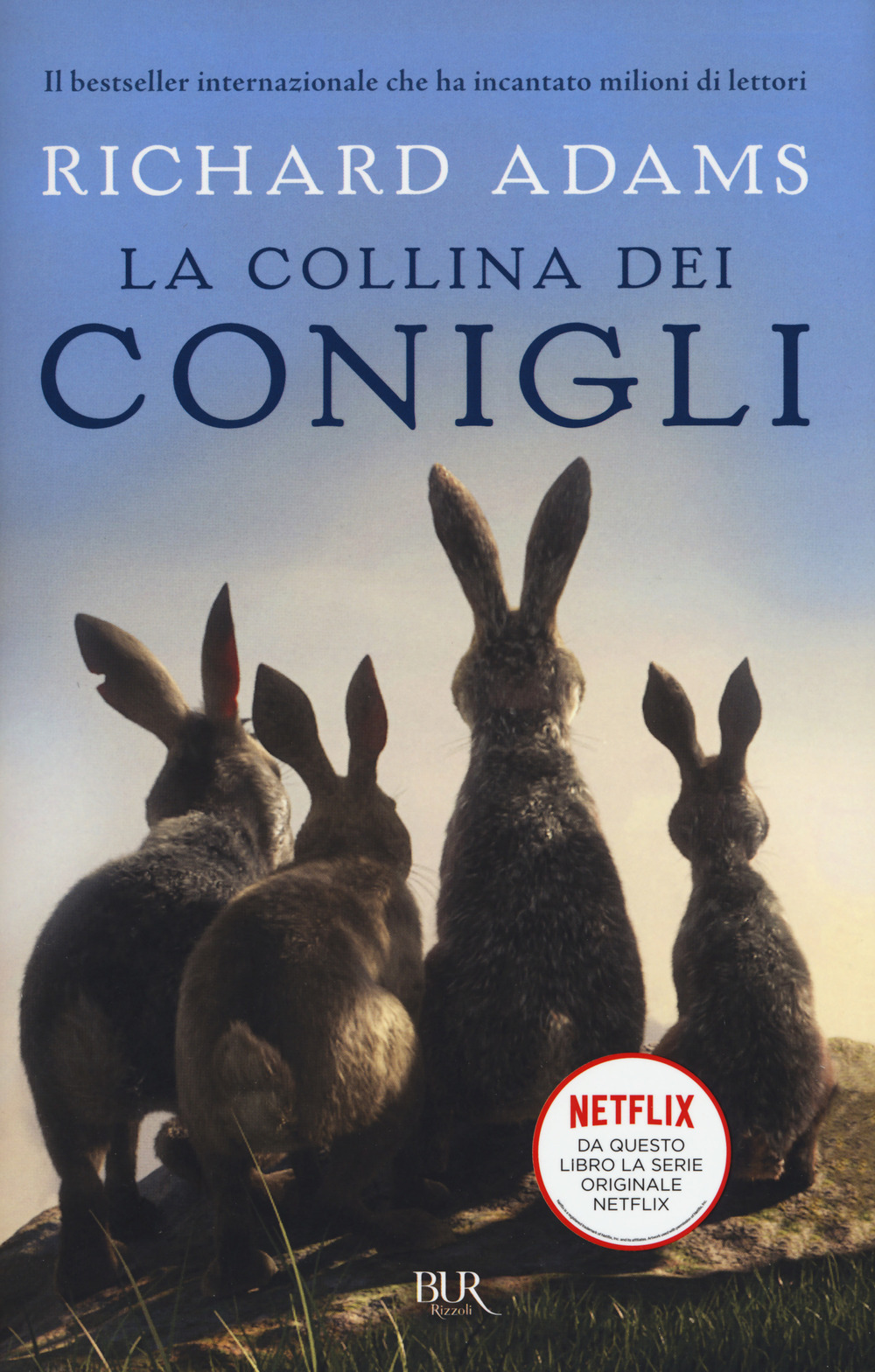 Libraccio