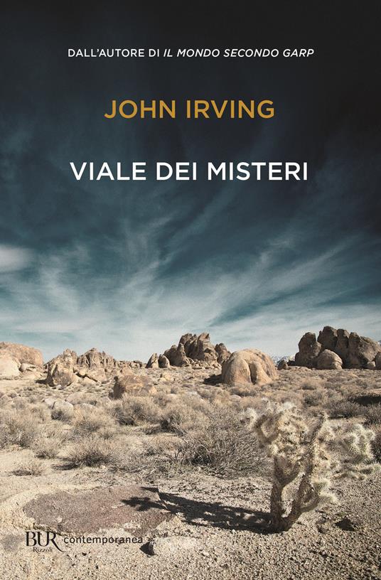 Viale dei misteri - John Irving - copertina