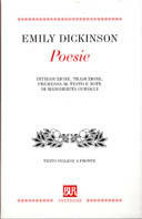 Libraccio