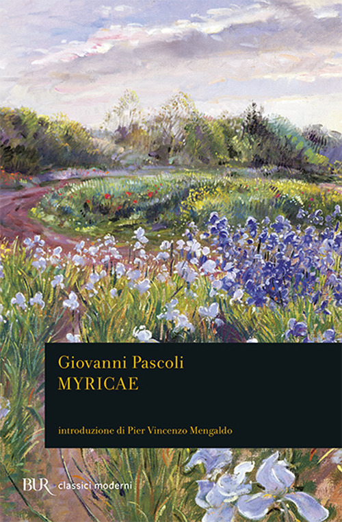 Libraccio