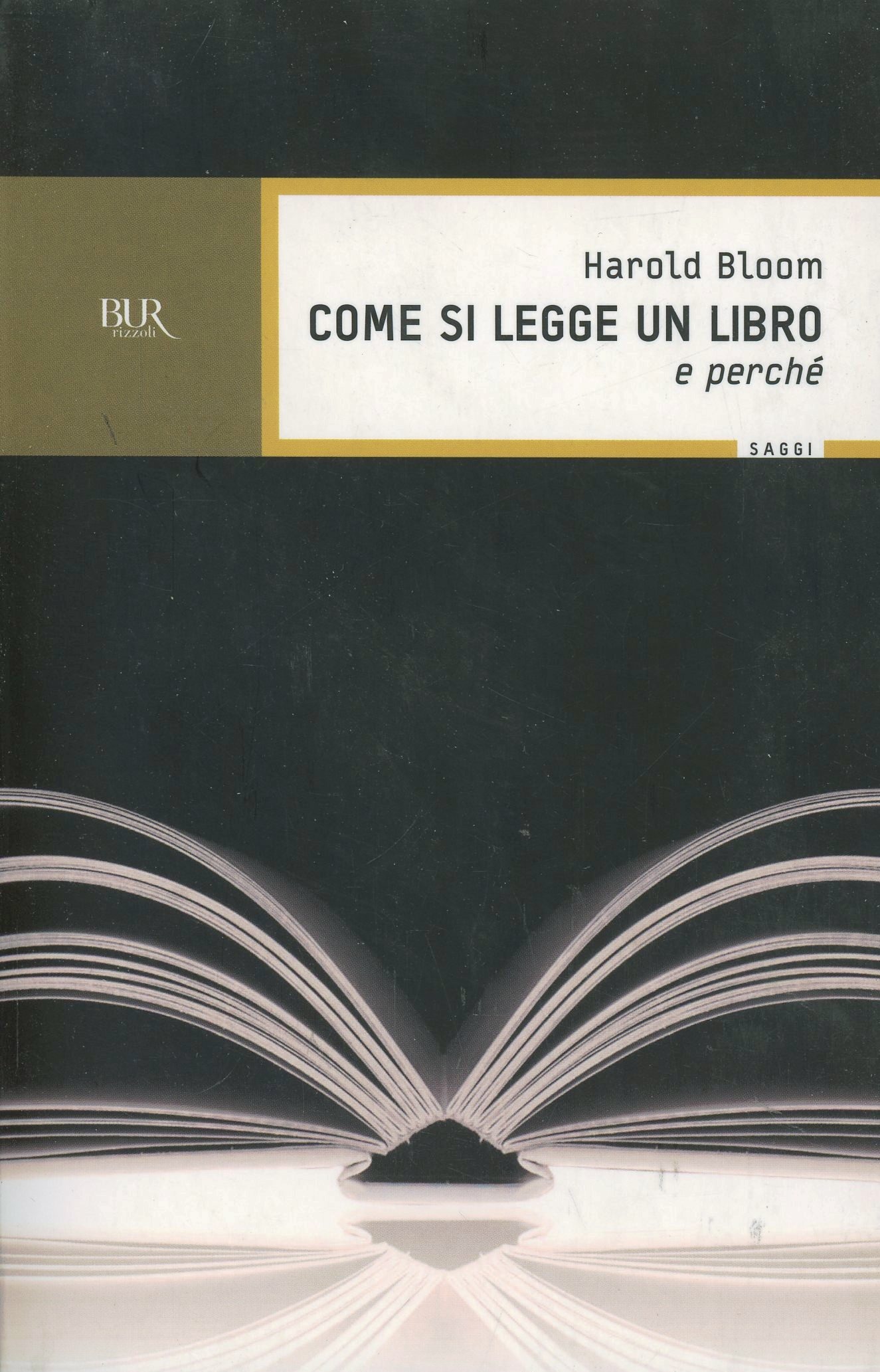 Libraccio
