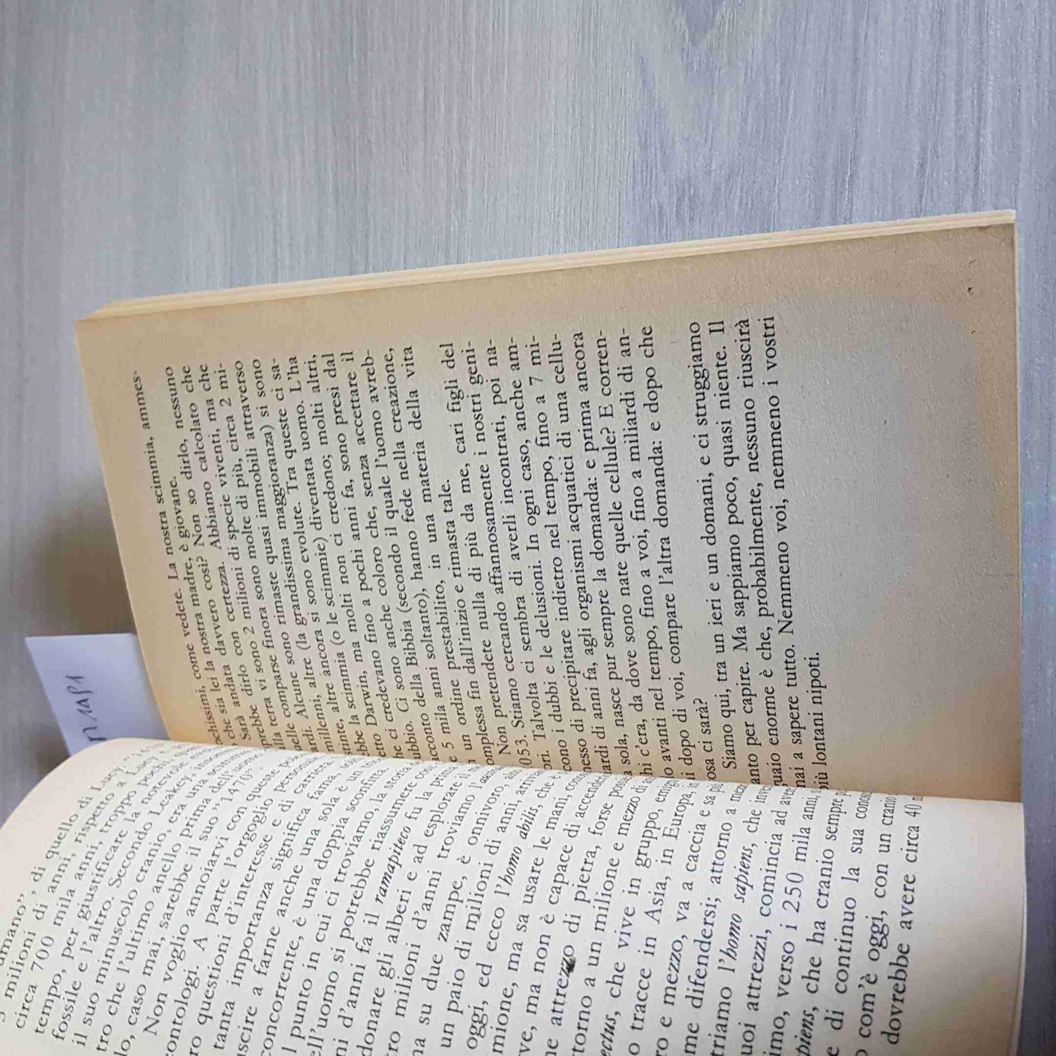 Cari figli del 2053