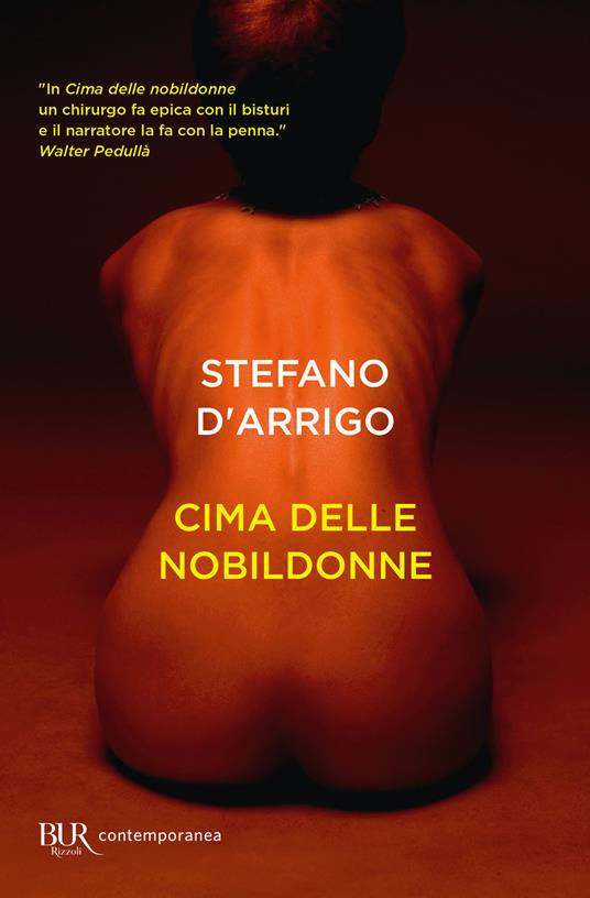 Cima delle nobildonne - Stefano D'Arrigo - copertina
