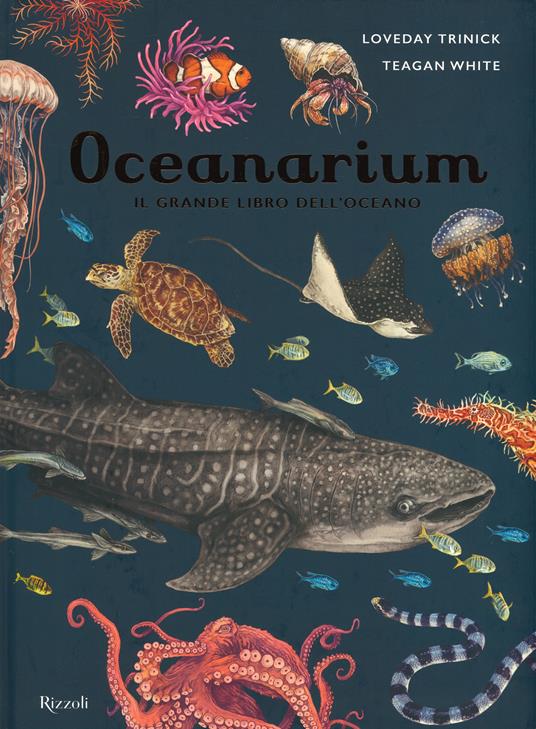 Oceanarium. Il grande libro dell'oceano - Loveday Trinick - copertina
