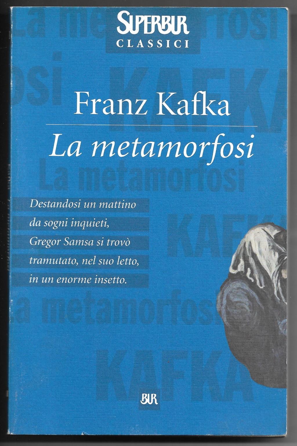 Libreria Trippini Sergio