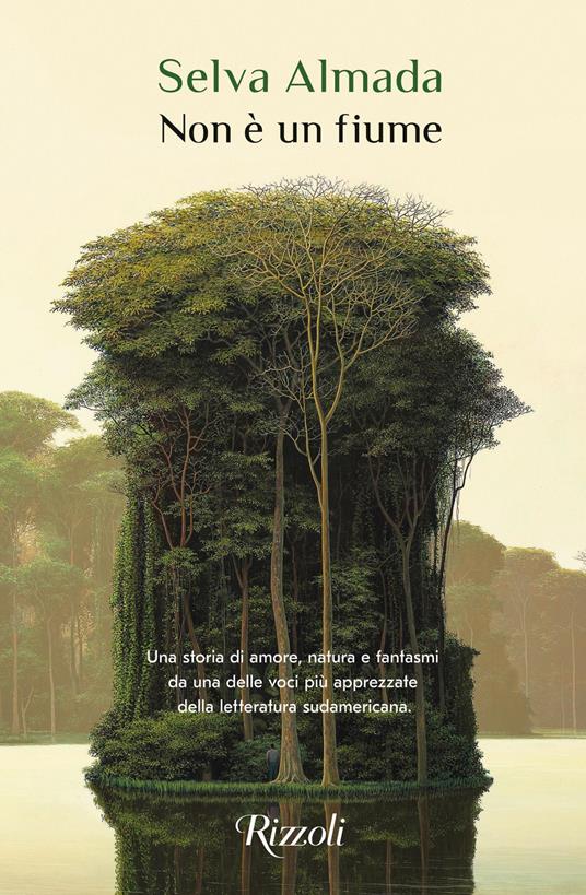 Non è un fiume - Selva Almada - copertina