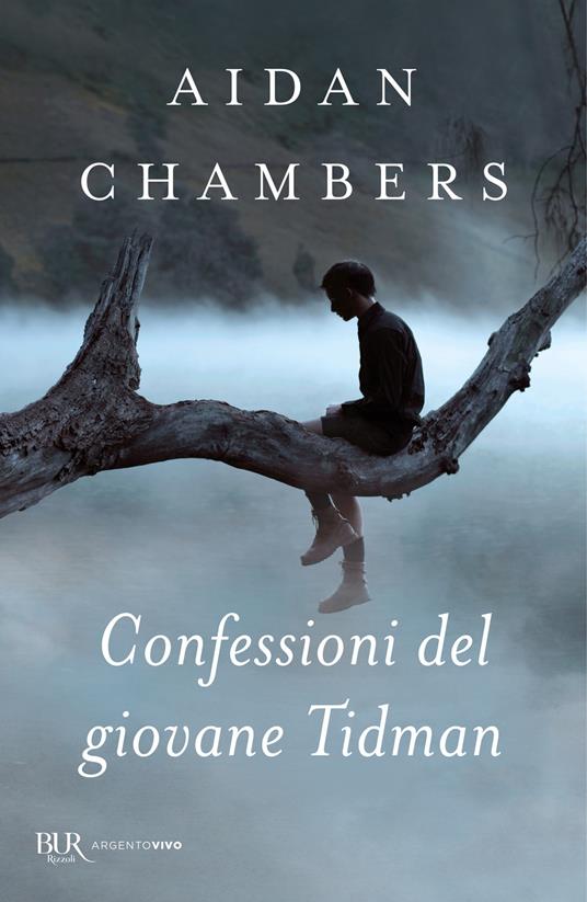 Confessioni del giovane Tidman - Aidan Chambers - copertina