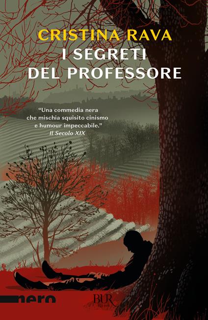 I segreti del professore - Cristina Rava - copertina