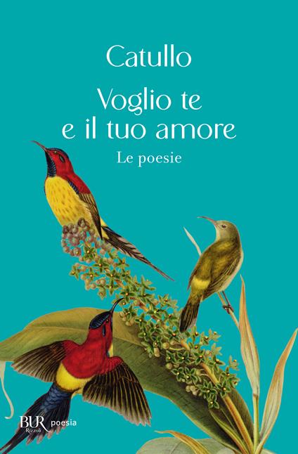 Voglio te e il tuo amore - G. Valerio Catullo - copertina