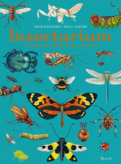 Insectarium. Il grande libro degli insetti. Ediz. a colori - Dave Goulson,Emily Carter - copertina