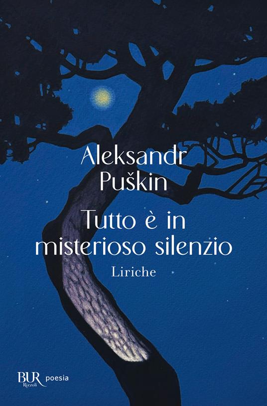 Tutto è in misterioso silenzio. Liriche - Aleksandr Sergeevic Puškin - copertina
