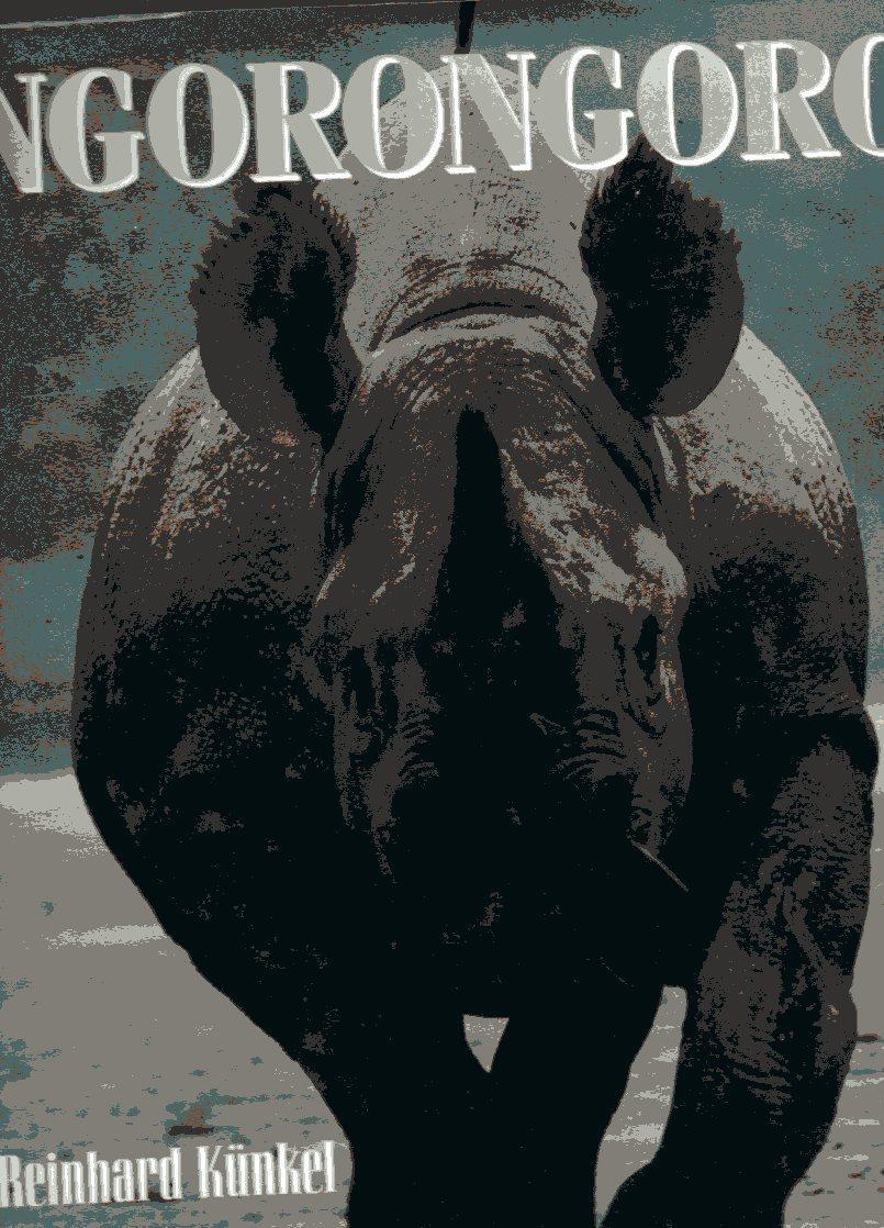 Laboratorio del libro