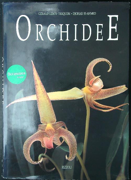 Orchidee