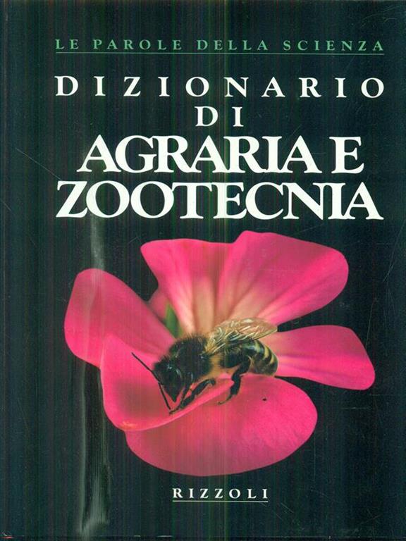 Bergoglio Libri d'Epoca Snc