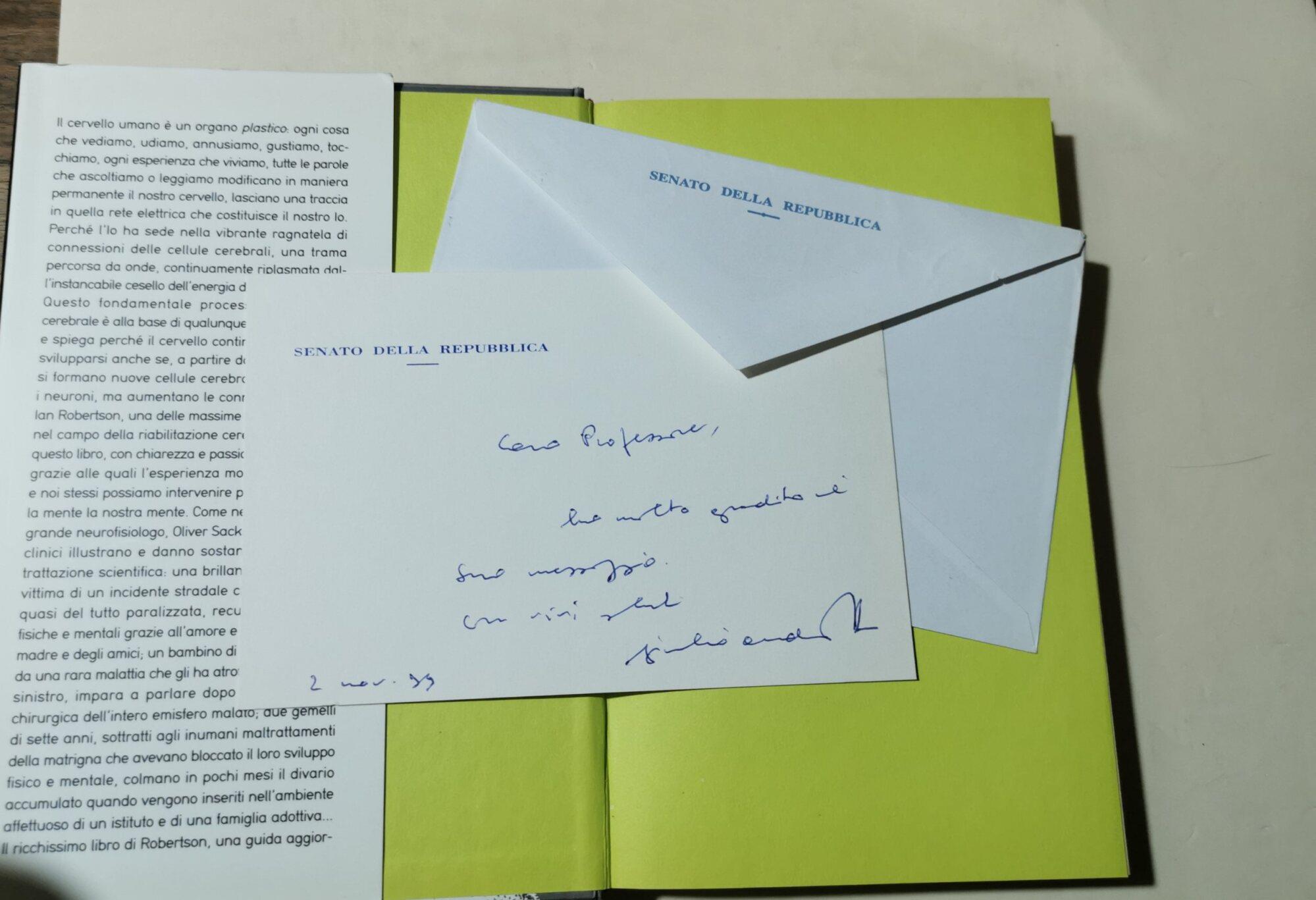 Il cervello plastico