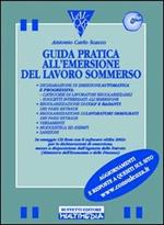 Emersione lavoro sommerso. Con CD-ROM