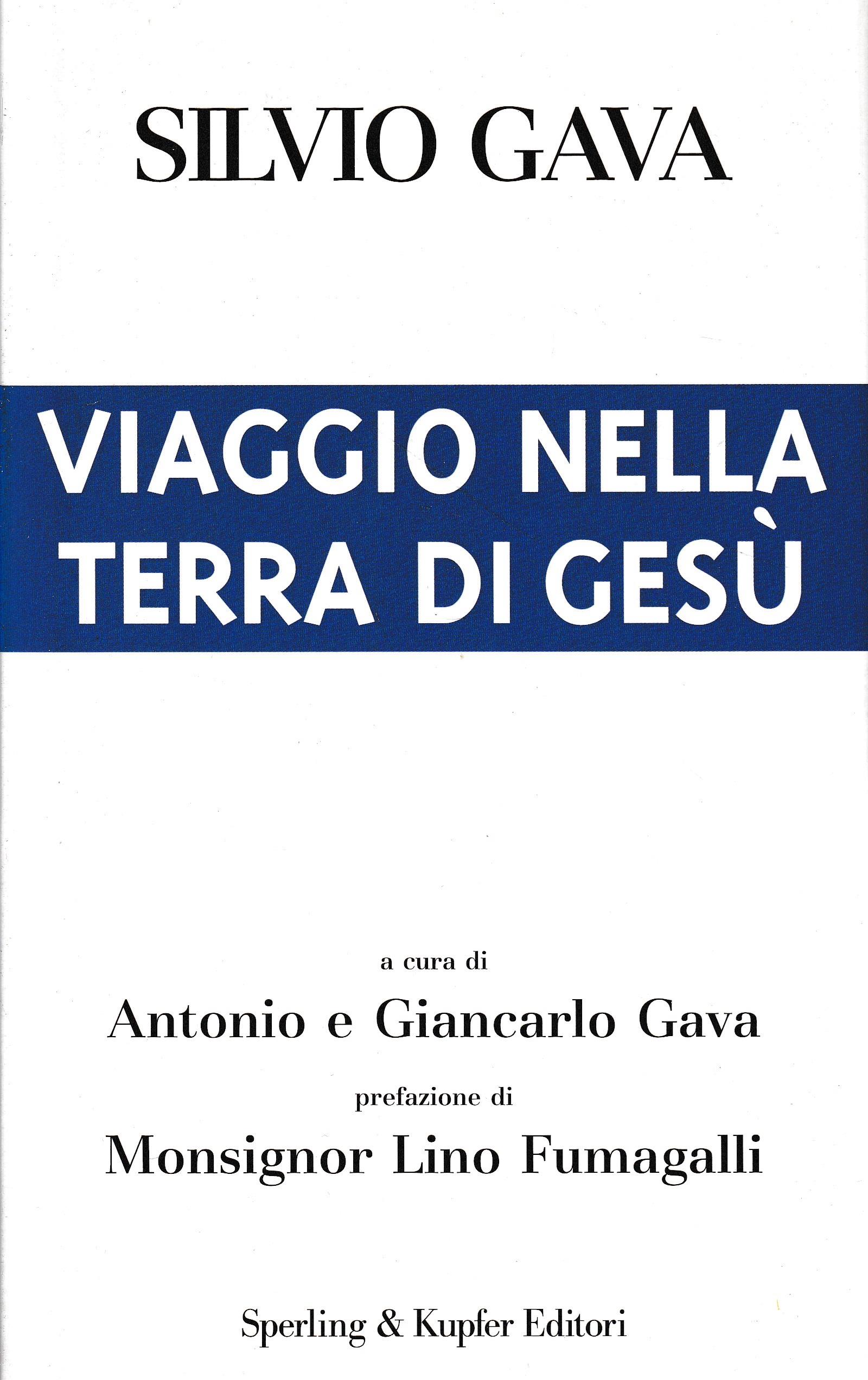 Librisaggi