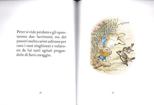 Il racconto di Peter Coniglio. Ediz. illustrata - Beatrix Potter - 4