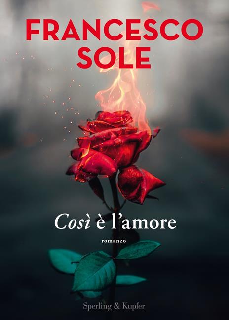 Così è l'amore - Francesco Sole - copertina