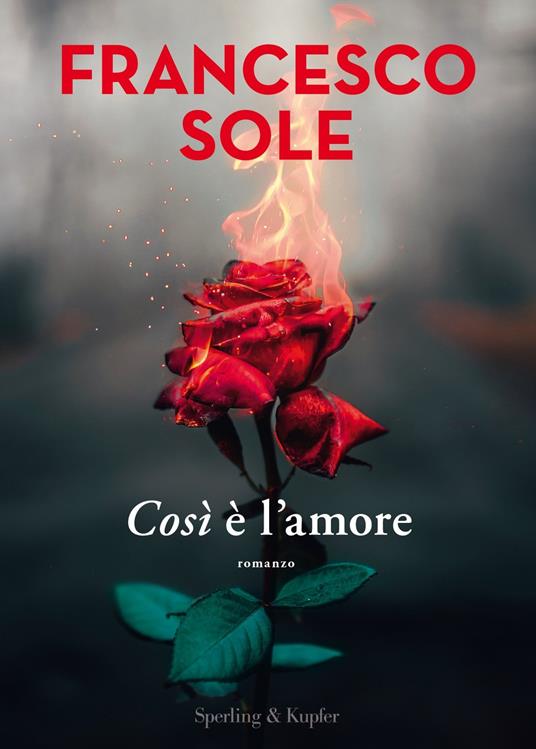 Così è l'amore - Francesco Sole - 2