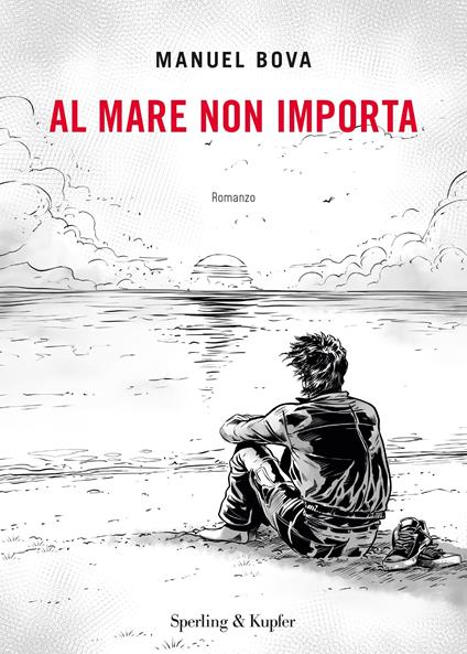 Al mare non importa - Manuel Bova - copertina