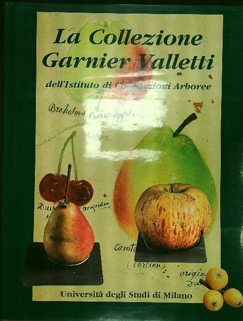 LIBRACCIO VINTAGE