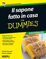 Il sapone fatto in casa for dummies