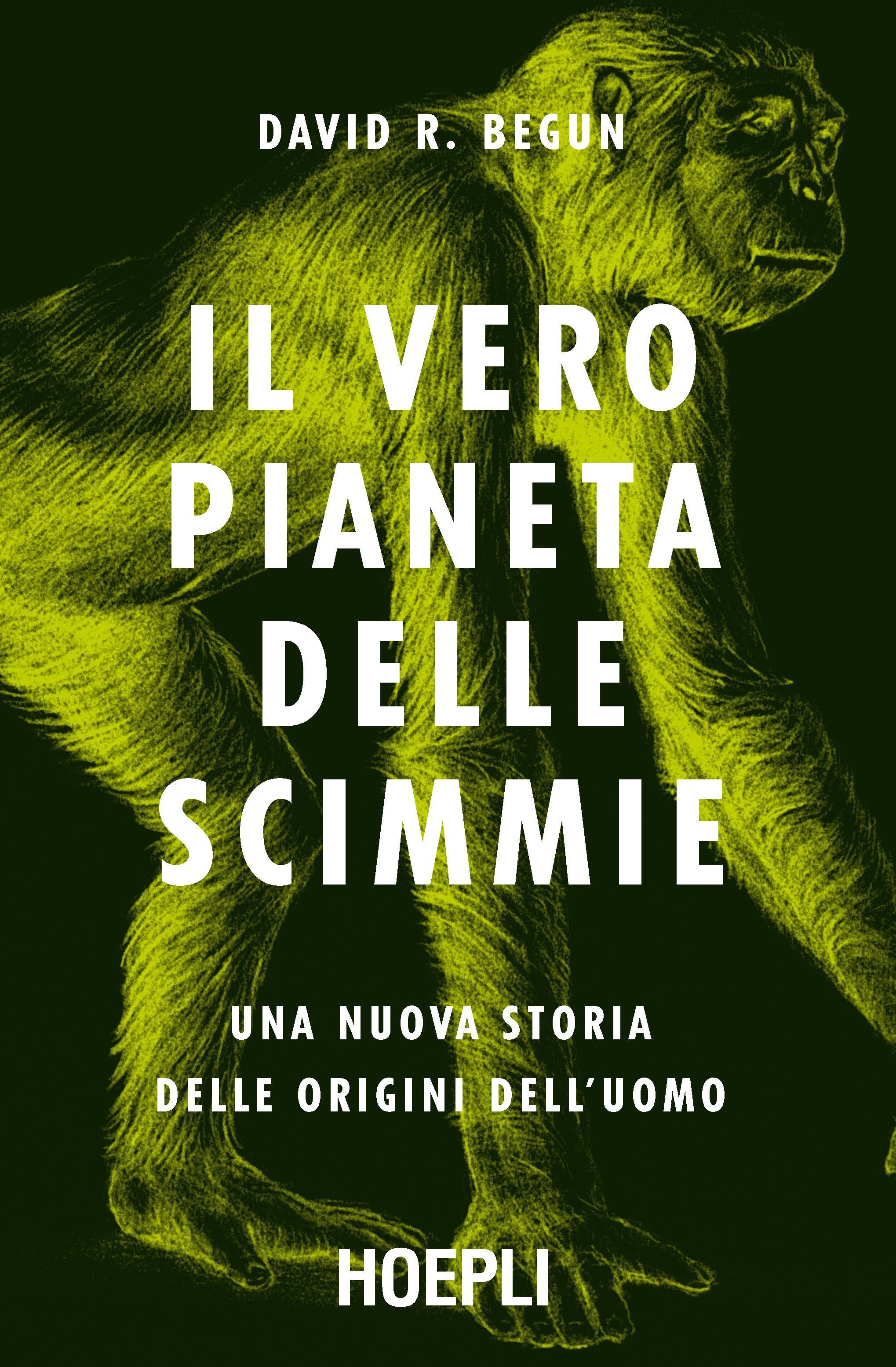 Libraccio