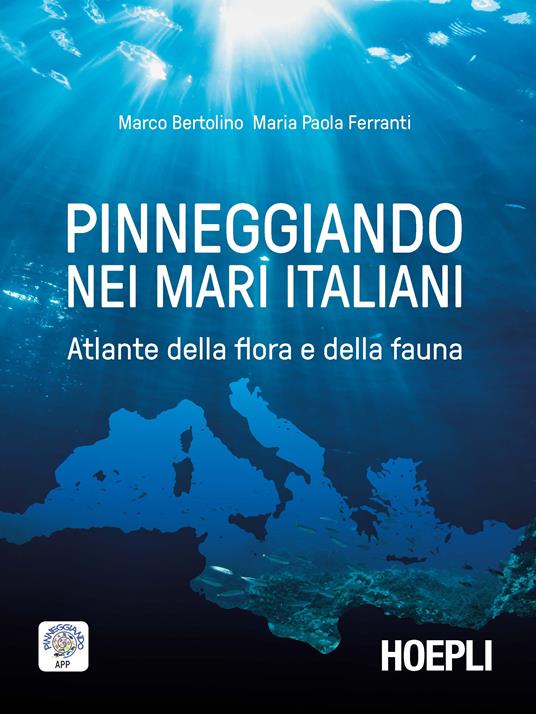 Pinneggiando nei mari italiani. Atlante della flora e della fauna - Marco Bertolino,Maria Paola Ferranti - ebook
