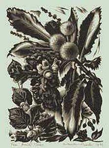 La lunghissima vita degli alberi - Fiona Stafford - 2