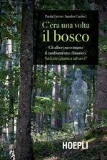 C'era una volta il bosco. Gli alberi raccontano il cambiamento climatico: sarà una pianta a salvarci?