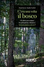 C'era una volta il bosco. Gli alberi raccontano il cambiamento climatico: sarà una pianta a salvarci?