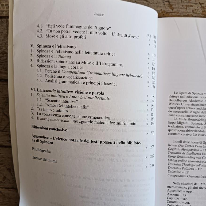 Visione e parola. Un'interpretazione del concetto spinoziano di scientia intuiva. Tra finito e infinito