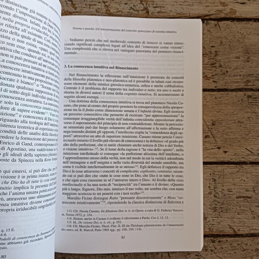 Visione e parola. Un'interpretazione del concetto spinoziano di scientia intuiva. Tra finito e infinito