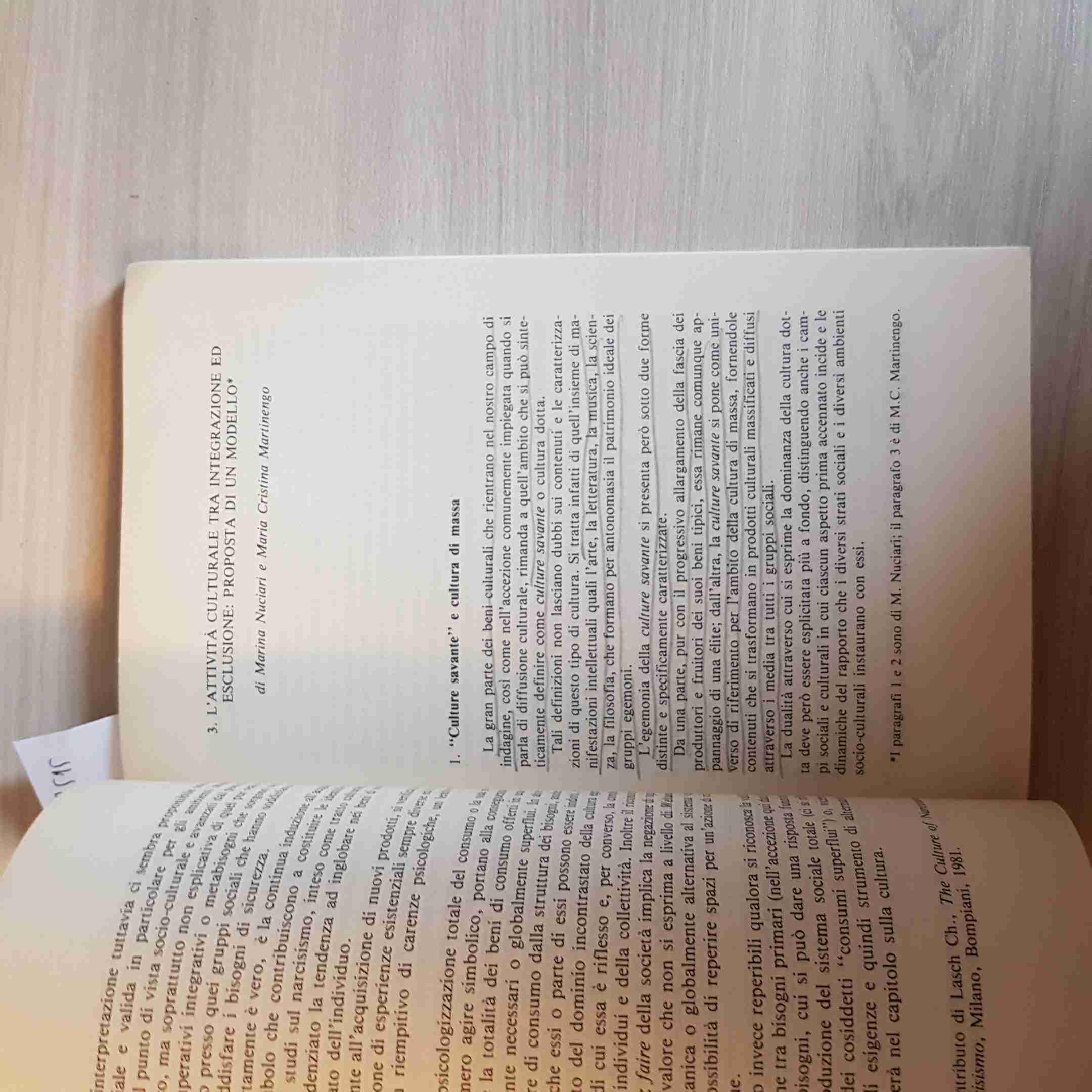 La pratica culturale tra integrazione ed esclusione. Indagine nell'area culturale piemontese