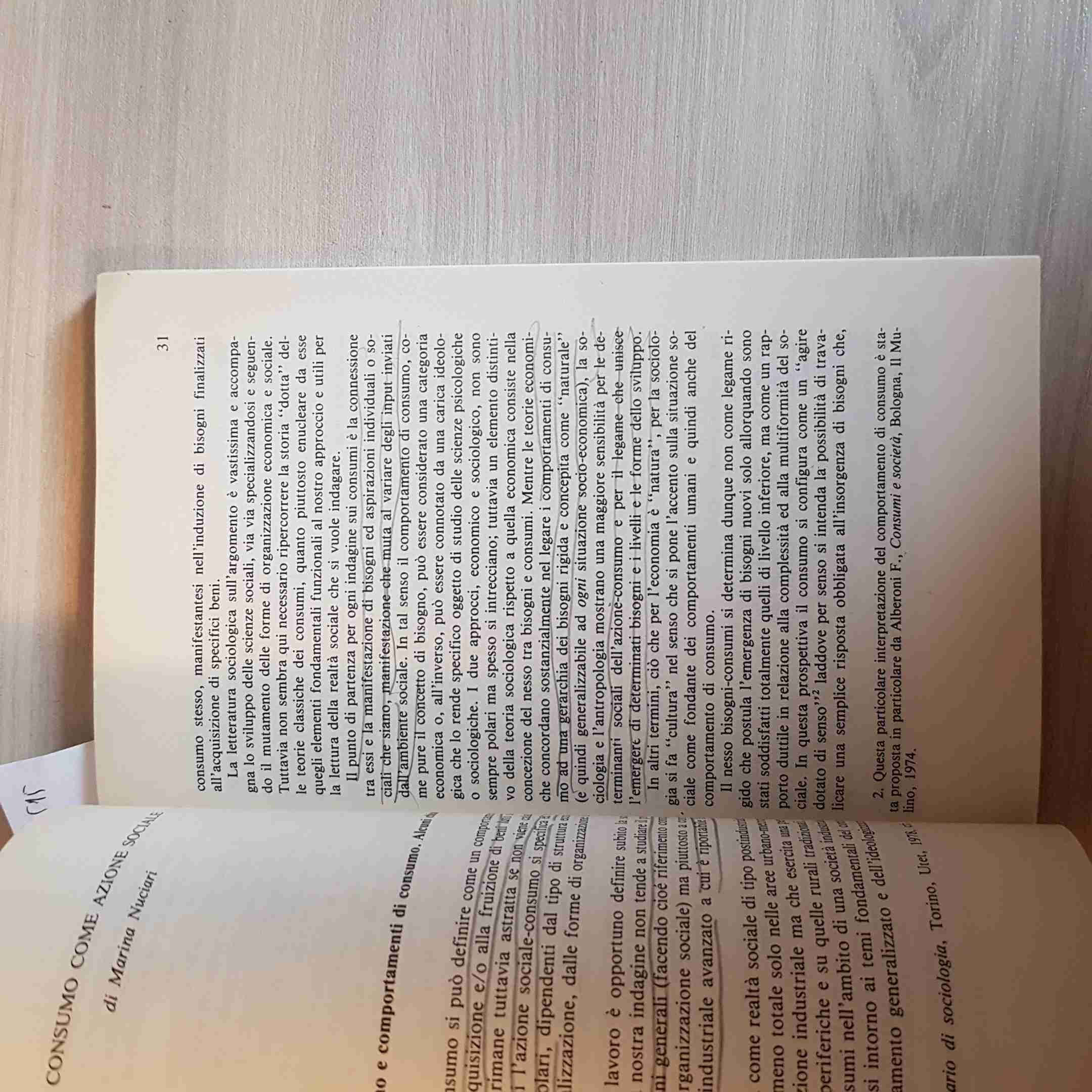 La pratica culturale tra integrazione ed esclusione. Indagine nell'area culturale piemontese