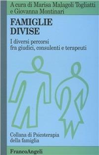 Famiglie divise. I diversi percorsi fra giudici, consulenti e terapeuti - copertina