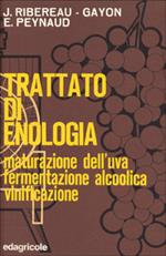 Trattato di enologia. Vol. 1: Maturazione dell'Uva, fermentazione alcoolica, vinificazione.