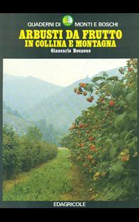 Arbusti da frutto in collina e montagna