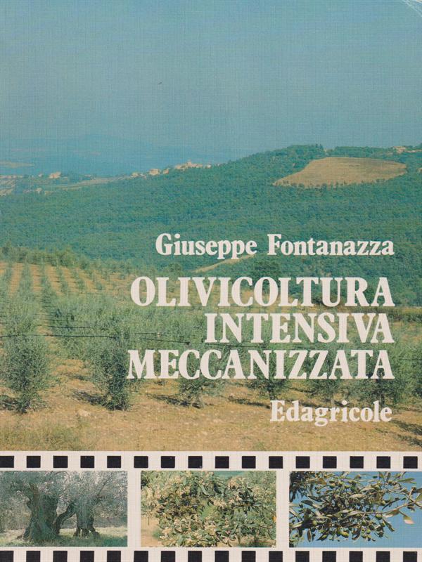 LIBRACCIO VINTAGE