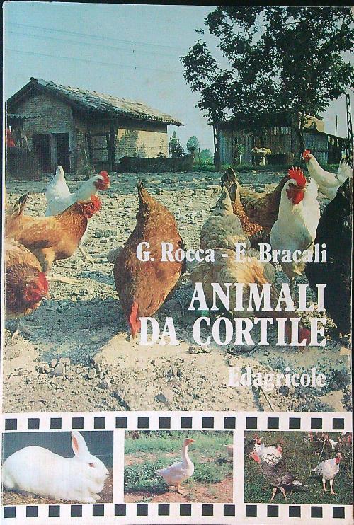 LIBRACCIO VINTAGE