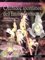 Orchidee spontanee dell'Emilia Romagna. Guida fotografica al riconoscimento