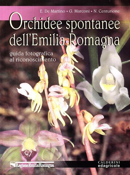 Orchidee spontanee dell'Emilia Romagna. Guida fotografica al riconoscimento - Eugenio De Martino,Giancarlo Marconi,Nicola Centurione - copertina